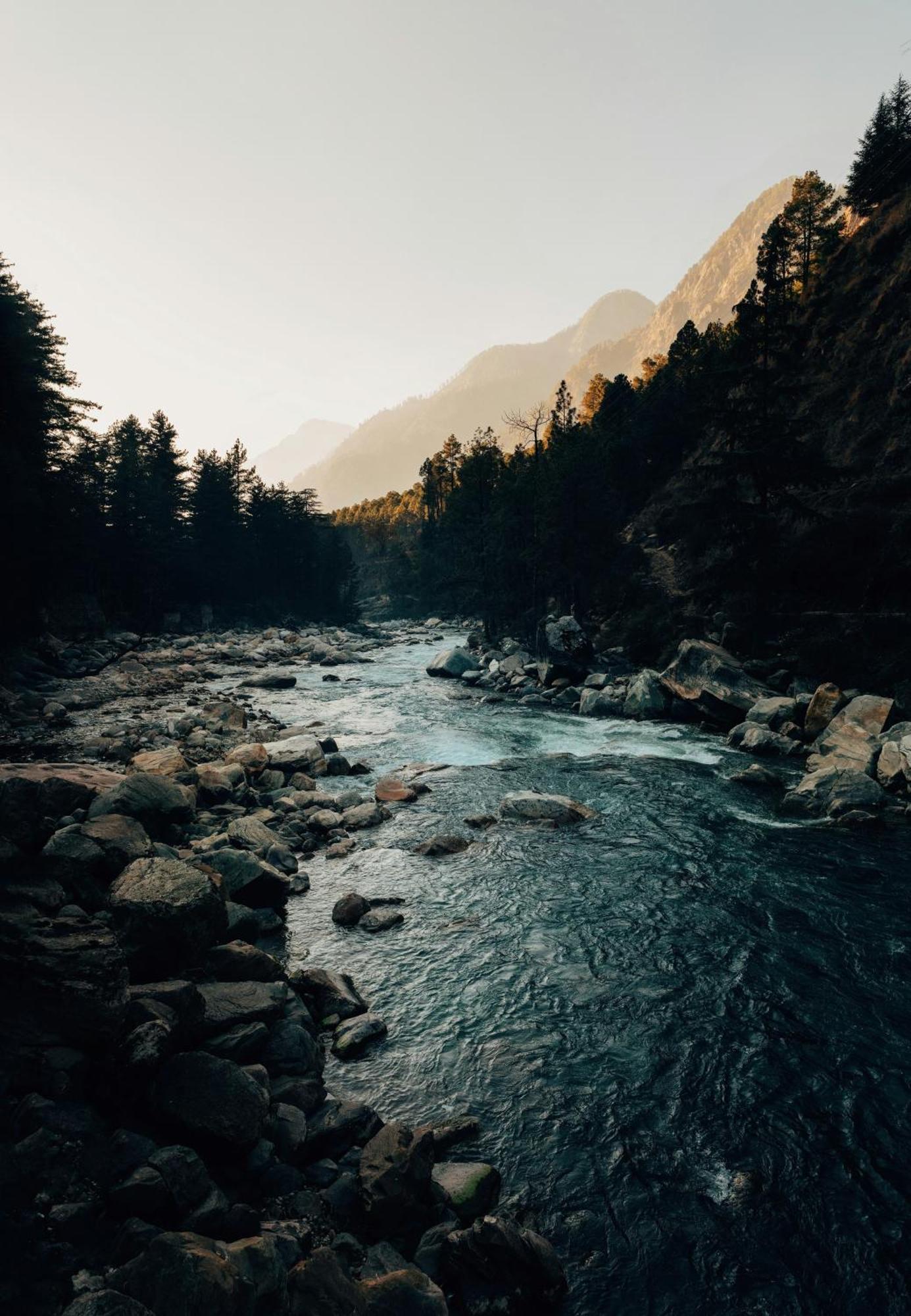 Hostel 360 Degree, Riverside Stay, Old Manali Exterior foto